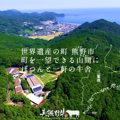 【美熊野牛】サーロイン ブロック