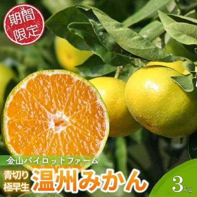 【2026年9月下旬ごろから順次発送予定】金山パイロットファームの温州みかん3kg(極早生・青切り)