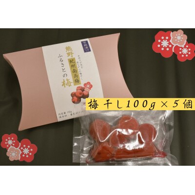 お土産にピッタリ♪梅干し100g×5p
