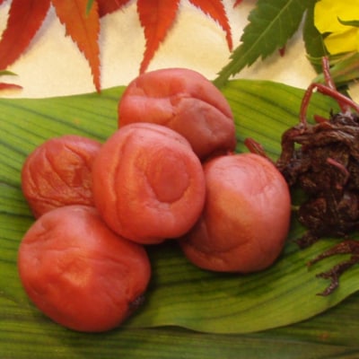 【小分け】梅干し100g×5p しそ漬け
