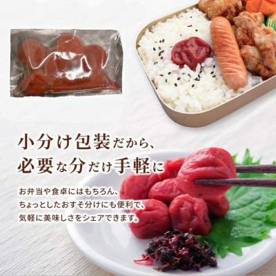 【小分け】梅干し100g×5p しそ漬け