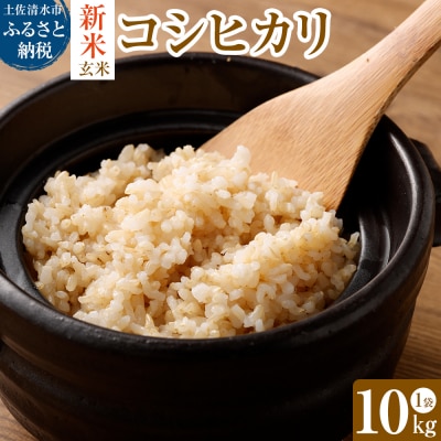 令和6年産新米コシヒカリ玄米10kg(1袋)【先行受付/令和6年8月発送予定】【R00325】