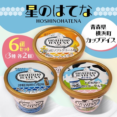 【青森県 横浜町】星のはてな(菜の花ソフト・津軽海峡の塩味・濃厚ヨーグルト)各2個、計6個セット