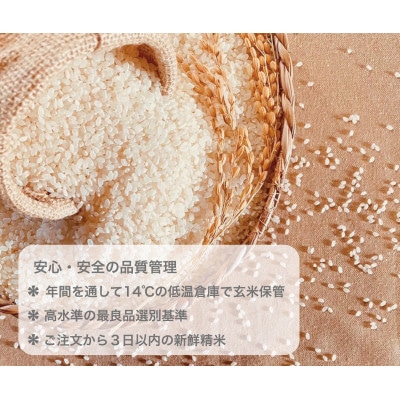 令和7年産　おいしいあいちのかおり　3kg　2個セット