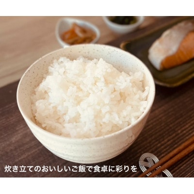 令和7年産　おいしいあいちのかおり　3kg　2個セット