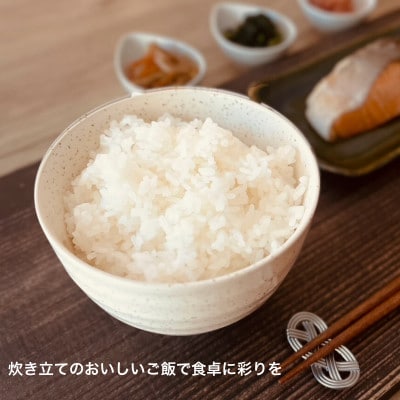 おいしいコシヒカリ3kg　おいしいあいちのかおり3kg　2個セット