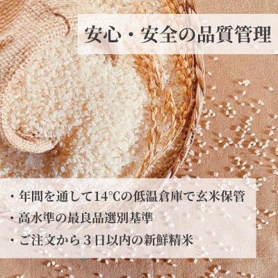 愛知県弥富市産のお米『あいちのかおり』(精米)10kg2袋