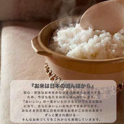 令和7年産愛知県弥富市産コシヒカリ10kg、あいちのかおり10kg　2袋セット