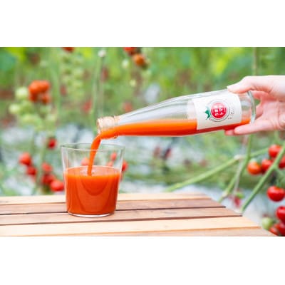 【生産者こだわり】完熟ミニトマトジュース　200ml×6本　濃厚リコピンストレート　ギフトセット
