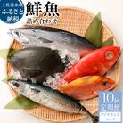 【10回定期便】おまかせ!季節の鮮魚 お楽しみセット(ダイヤモンドコース)【J00051】