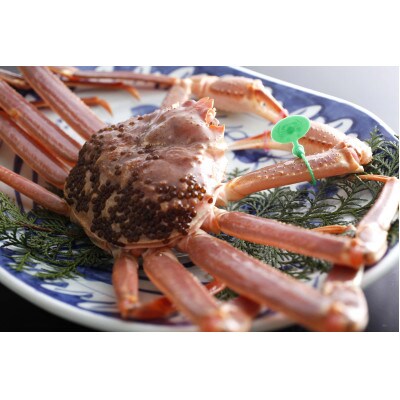 タグ付き活ズワイガニ(ボイル)1杯　【共通返礼品】