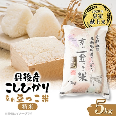 令和8年新米　京都与謝野町産コシヒカリ「京の豆っこ米」精米5kg　【誠武農園】 　農家直送