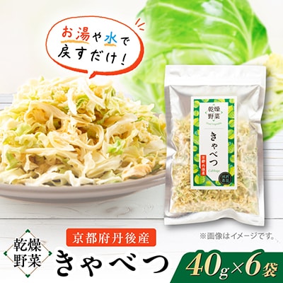 京都府丹後産【キャベツ】乾燥野菜　6袋　京都府与謝野町より【誠武農園】　おいしい国産野菜