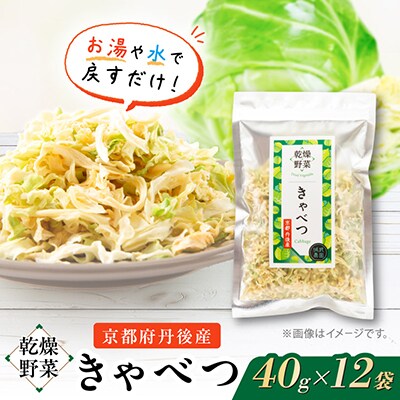 京都府丹後産【キャベツ】乾燥野菜　12袋　京都府与謝野町より　誠武農園のおいしい国産野菜　簡単料理