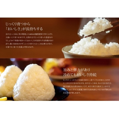 令和7年米　京都与謝野町産コシヒカリ「京の豆っこ米」玄米10kg×2袋　【誠武農園】 農家直送