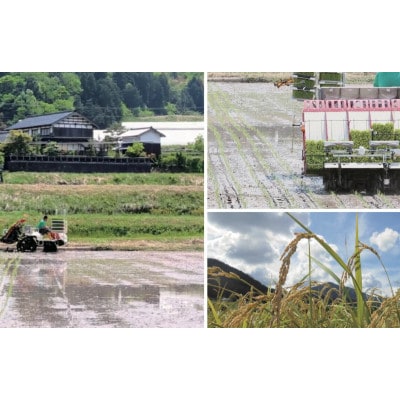 令和7年米　京都与謝野町産コシヒカリ「京の豆っこ米」玄米10kg×2袋　【誠武農園】 農家直送