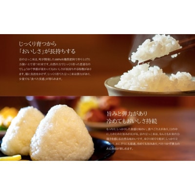 令和7年米　京都与謝野町産コシヒカリ「京の豆っこ米」玄米10kg×1袋　【誠武農園】 農家直送