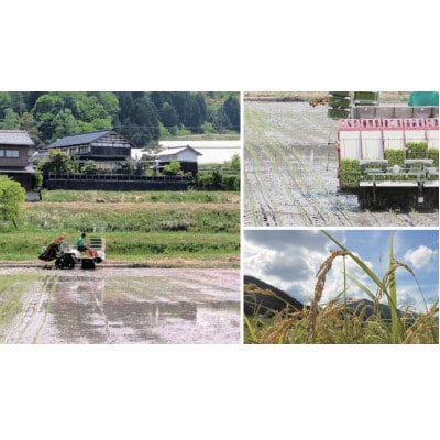 【先行受付】令和8年新米　数量限定　京都与謝野町産コシヒカリ「京の豆っこ米」精米30kg　農家直送