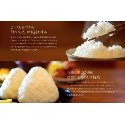 【先行受付】令和8年新米　数量限定　京都与謝野町産コシヒカリ「京の豆っこ米」精米5kg　農家直送