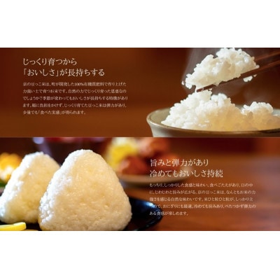 【先行受付】令和8年新米　数量限定　京都与謝野町産コシヒカリ「京の豆っこ米」玄米10kg×1袋