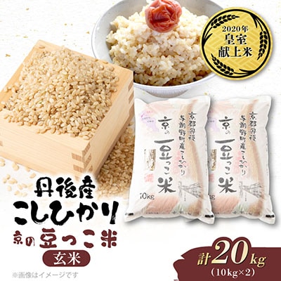 【先行受付】令和8年新米　数量限定　京都与謝野町産コシヒカリ「京の豆っこ米」玄米10kg×2袋