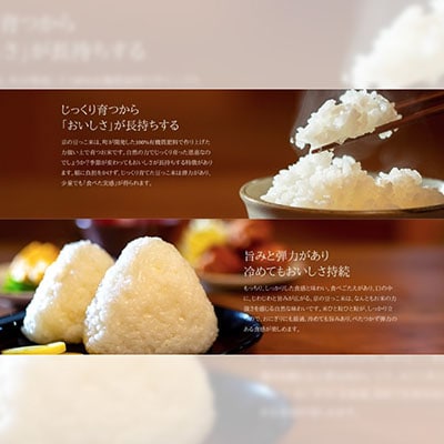 【先行受付】令和8年新米　数量限定　京都与謝野町産コシヒカリ「京の豆っこ米」玄米10kg×2袋