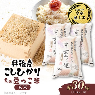 【先行受付】令和8年新米　数量限定　京都与謝野町産コシヒカリ「京の豆っこ米」玄米10kg×3袋
