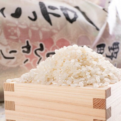 【毎月定期便】京都府与謝野町産「豆っこコシヒカリ」精米10kg　環境に優しく、美味しいお米全6回