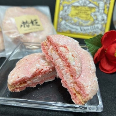 椿の花を型どったダックワーズ【椿姫】　与謝野町のおみやげにぴったり焼き菓子　ご自宅用のスイーツ にも