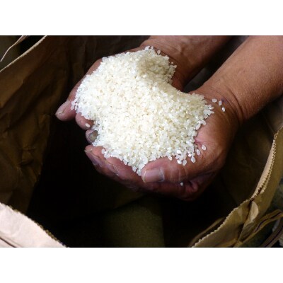 【令和3年産】京都府与謝野町産　丹後コシヒカリ 精米10kg