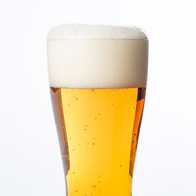 【毎月定期便】【与謝野町産ホップ使用クラフトビール】 ASOBI　350ml ×24本セット全6回