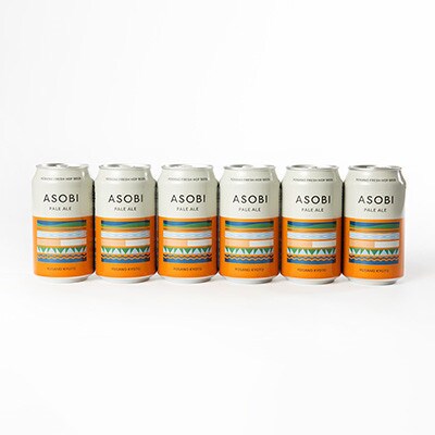 【毎月定期便】【与謝野町産ホップ使用クラフトビール】 ASOBI　350ml ×6本セット全6回