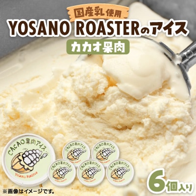 カカオ果肉入りアイス　6個入　バニラアイスと甘酸っぱい果肉が相性バツグンのアイスクリーム