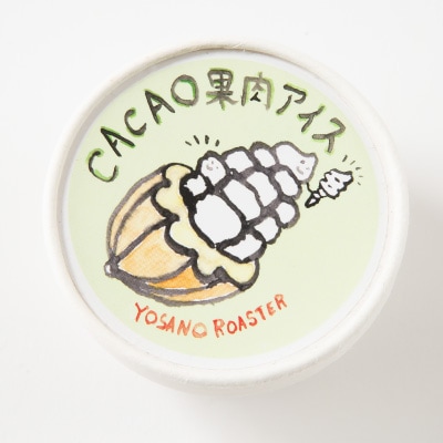 カカオ果肉入りアイス　6個入　バニラアイスと甘酸っぱい果肉が相性バツグンのアイスクリーム