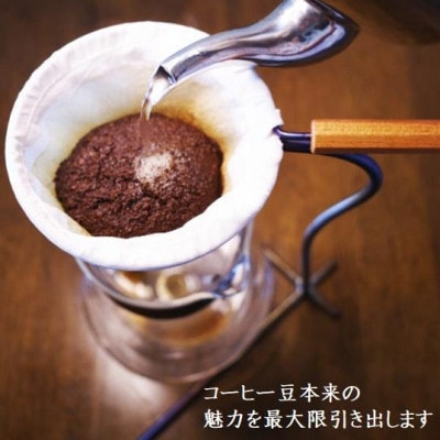 【ヨサノロースター】 コーヒー粉(挽き豆)グァテマラ ウエウエテナンゴファンシー　200g×2袋