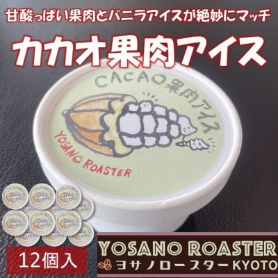 カカオ果肉入りアイス　12個入　バニラアイスと甘酸っぱい果肉が相性バツグンのアイスクリーム