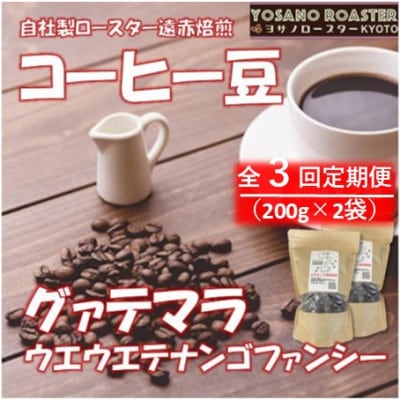 【毎月定期便】コーヒー豆　グァテマラ ウエウエテナンゴファンシー　200g×2　遠赤外線焙煎全3回