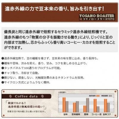 【毎月定期便】コーヒー豆　グァテマラ ウエウエテナンゴファンシー　200g×2　遠赤外線焙煎全12回