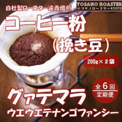 【毎月定期便】コーヒー粉(挽き豆)グァテマラ ウエウエテナンゴファンシー 200g×2袋全6回