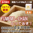 先行受付　R7年産新米コシヒカリ　YUMEMI-CHAN とっておき!　玄米300g×3袋　農家直送