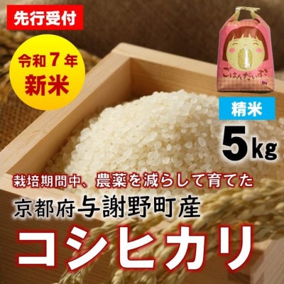 先行受付　R7年産新米　京都丹後産コシヒカリ　精米5kg　栽培期間中、農薬を減らして育てたお米