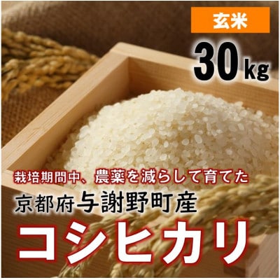 令和7年産米　京都丹後産コシヒカリ　玄米30kg　栽培期間中、農薬を減らして育てたお米