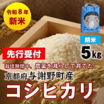 【先行受付】令和8年新米　京都丹後産コシヒカリ　精米5kg　栽培期間中、農薬を減らして育てたお米
