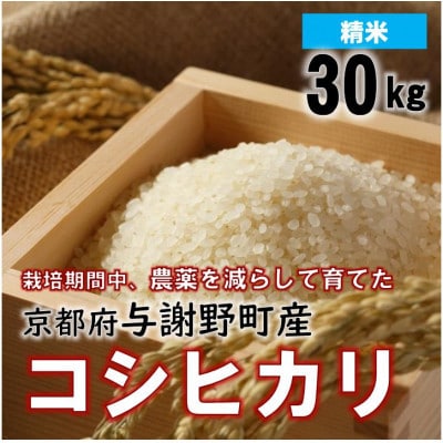 京都丹後産コシヒカリ 精米30kg 栽培期間中、農薬を減らして育てたお米　農家直送