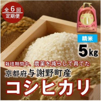 【毎月定期便】京都丹後産コシヒカリ 精米5kg 栽培期間中農薬を減らして育てたお米 農家直送全6回