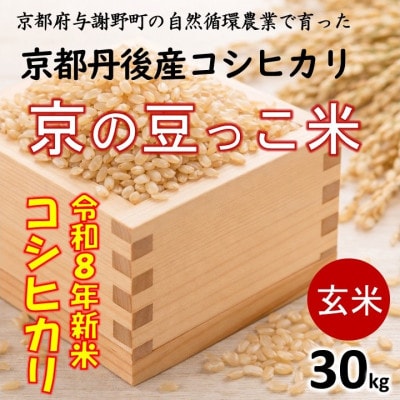 令和8年新米 京都府産「京の豆っこ米」 玄米30kg　おいしい丹後のコシヒカリ　農家直送
