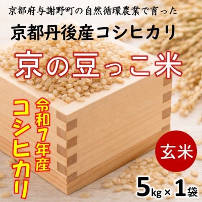 令和7年 京都府産「京の豆っこ米」 玄米5kg　おいしい丹後のコシヒカリ　農家直送