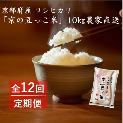 【毎月定期便】京都府産「京の豆っこ米」10kg　おいしい丹後のコシヒカリ全12回