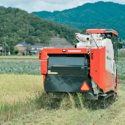 【先行受付】令和8年新米　超人米　京都与謝野町産コシヒカリ　精米5kg×2袋　8月下旬頃～順次発送