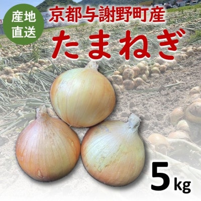 【期間限定】 玉ねぎ 約5kg　京都与謝野町のこだわり栽培たまねぎ　【AGRIST】
